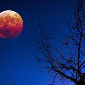 想家的时候钢琴谱