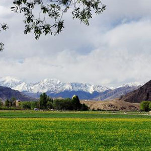 祖国的春天钢琴谱