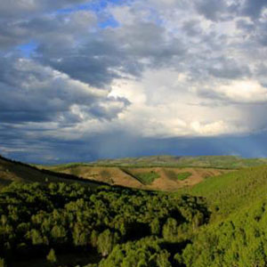 走上这高高的兴安岭钢琴谱