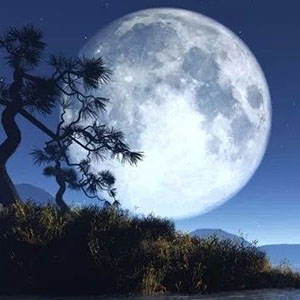 中国的月亮钢琴谱