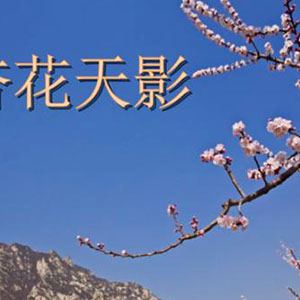 杏花天影钢琴谱