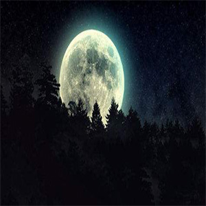 多情的月亮钢琴谱