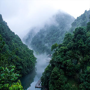 在青翠的山谷里钢琴谱