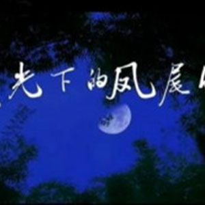 月光下的凤尾竹钢琴谱