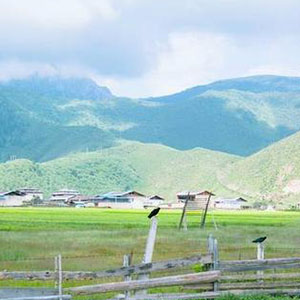 远方的香格里拉钢琴谱