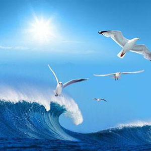 永恒的爱恋钢琴谱