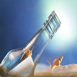 心里装着谁钢琴谱