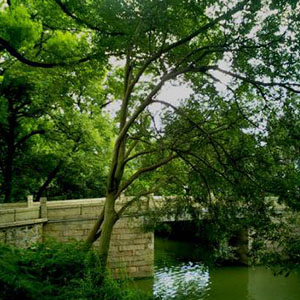 一湾湾流水钢琴谱