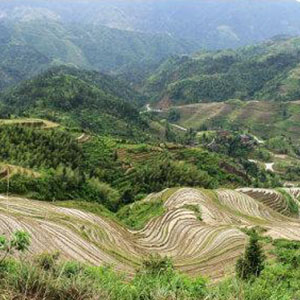 一道道水来一道道山钢琴谱