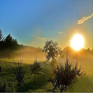 情未了，情难断钢琴谱