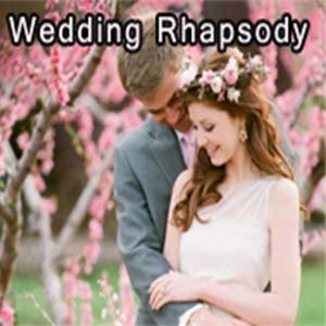 婚礼狂想曲钢琴谱