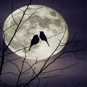 月亮代表我的心钢琴谱