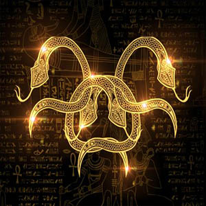 金蛇狂舞钢琴谱