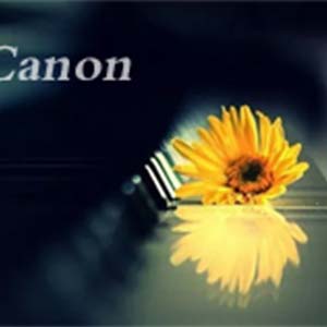 c大调卡农钢琴谱简谱