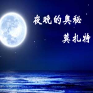 夜晚的奥秘钢琴谱