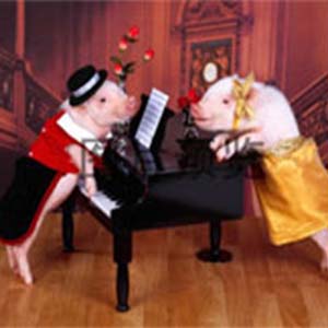 爱的协奏曲钢琴谱