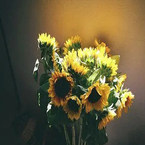 耶和华祝福满满钢琴谱