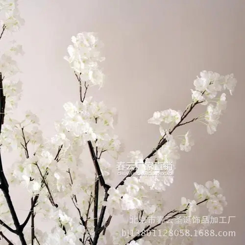 滨-㿴-C-и