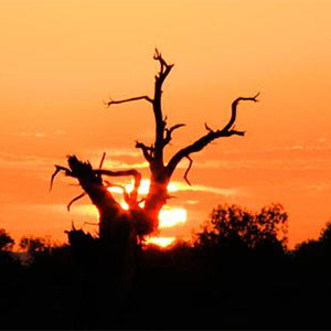夕阳下的剪影钢琴谱钢琴四手联弹