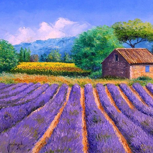 102-ǵİݶ ()-Ϻֳ-F-и