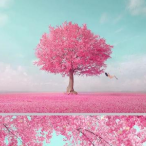 ۸