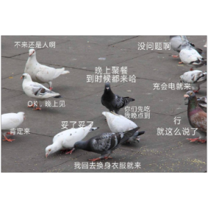  ()- Ժ-B-и