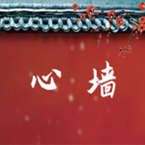 ǽ