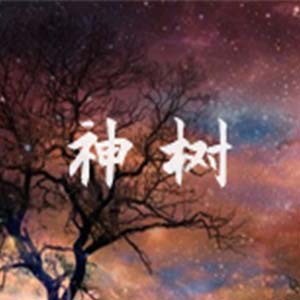 神树钢琴谱
