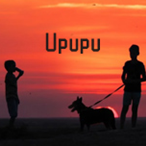 Upupu-СƤƤϰ--иټ