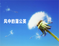 еѹӢ---иټ
