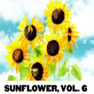 Sunflower Vol 6