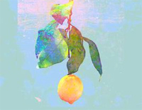 Lemon-ѧ߸-׽ʦ-C-и