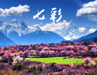 ߲ʸ-ֺ-A-и