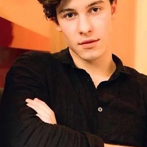 Like To Be You-Shawn Mendes  Julia Michaels-D-и