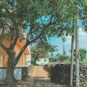 ׷Ѱ-ȥĻ