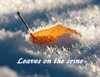 Leaves-On-The-Seine