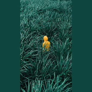 ʮԼ