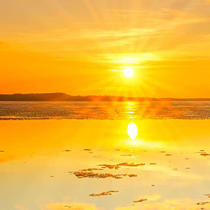 天天年轻钢琴谱