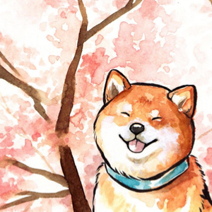 Vogelhochzeit钢琴谱