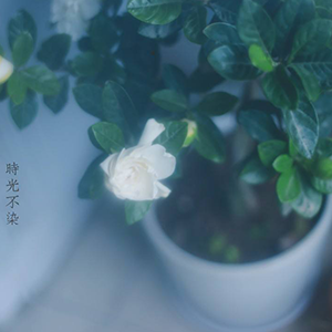 ĵн-˹-C-и
