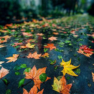 Reminiscence of Raining