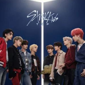 TOP-Stray Kids-D-и