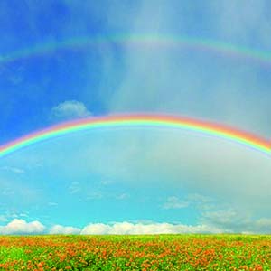 Rainbow-ŮFiona-F-и