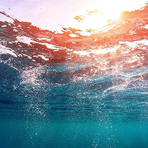 目标是神奇宝贝大师钢琴谱