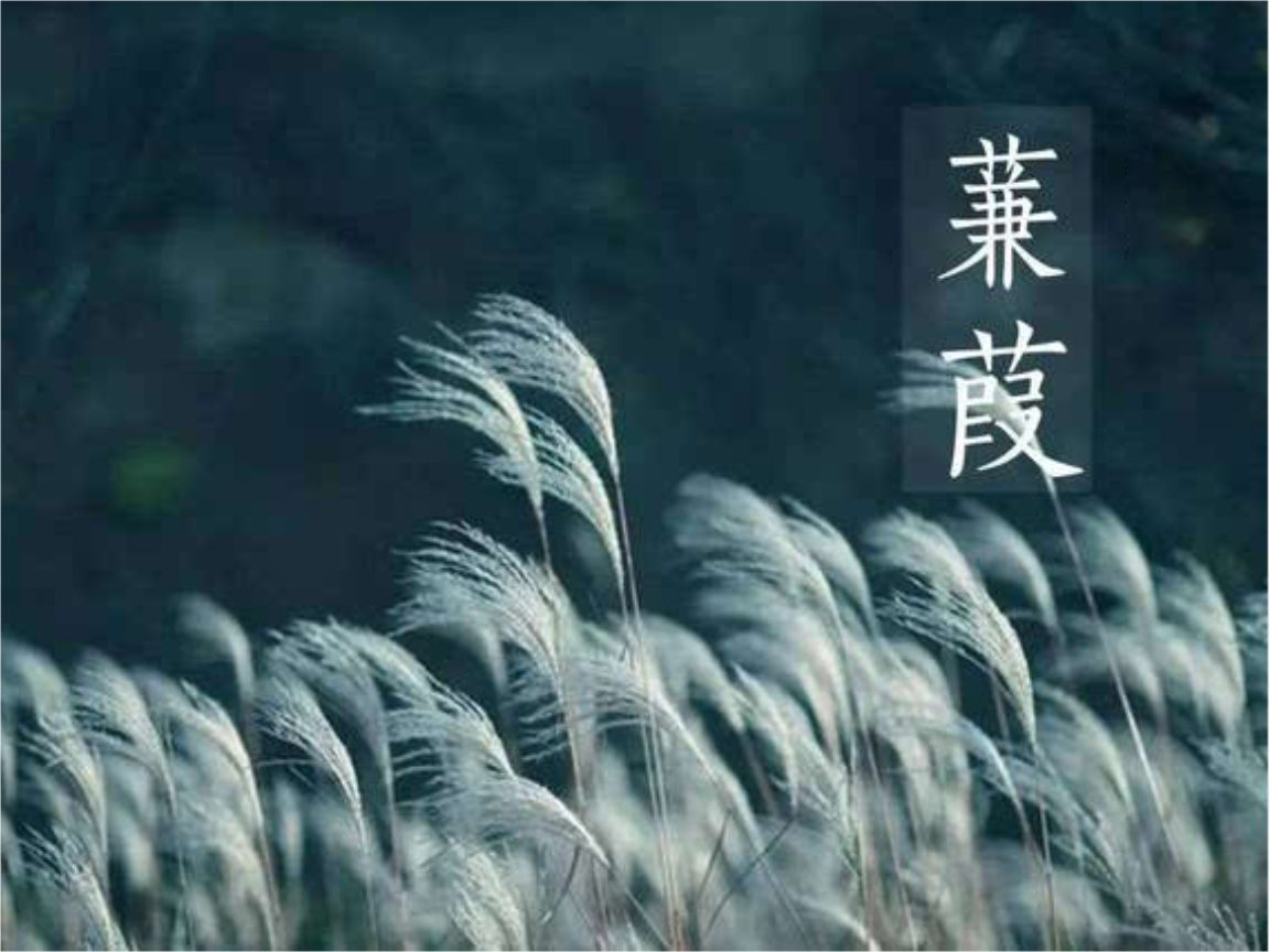 ʫ-硷-й-C-и