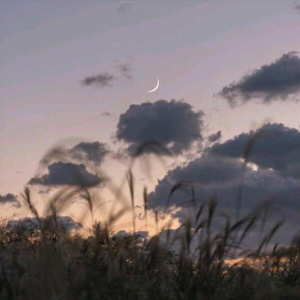 ΢ʱ