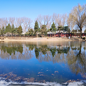 spring and winter-Ƽ-C-и