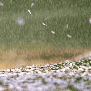 fall as the rain-ѪȲ-E-и