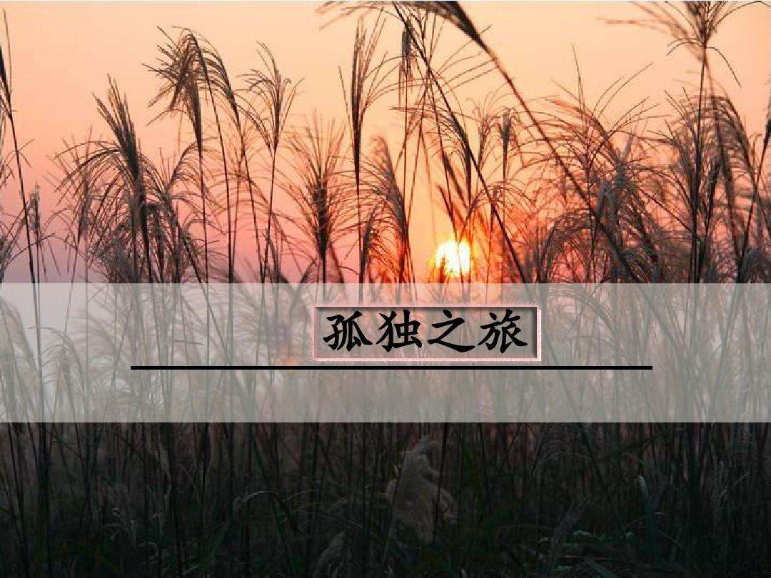 ¶֮ø-ѪȲ-B-и