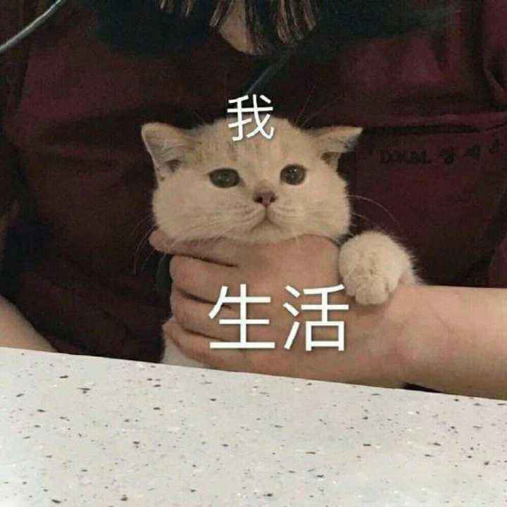 Ҹ-Խ-D-и